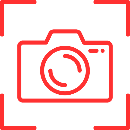 Pictures Of Pussys